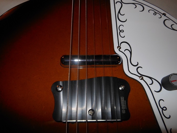 Baby Sitar Picture 13